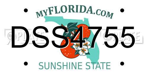 DSS4755 Florida License Plate
