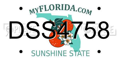 DSS4758 Florida License Plate