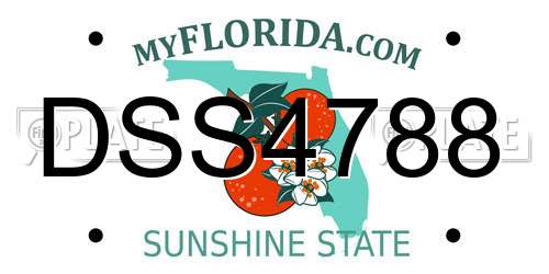 DSS4788 Florida License Plate