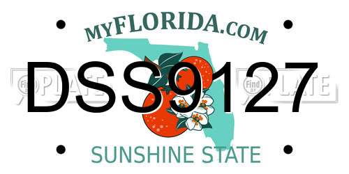 DSS9127 Florida License Plate