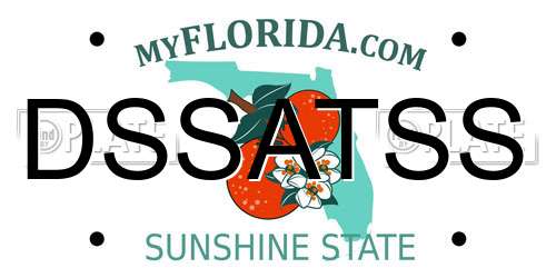 DSSATSS Florida License Plate