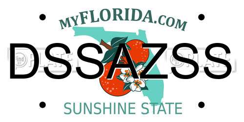 DSSAZSS Florida License Plate
