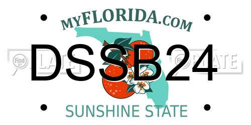 DSSB24 Florida License Plate