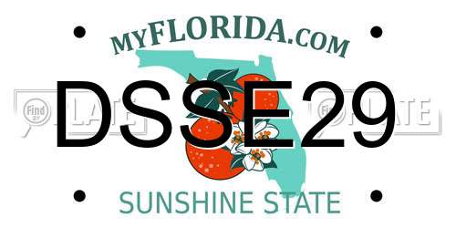 DSSE29 Florida License Plate