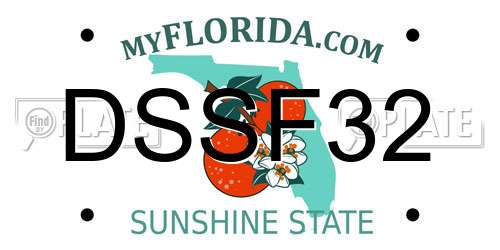 DSSF32 Florida License Plate