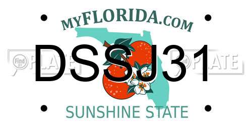 DSSJ31 Florida License Plate