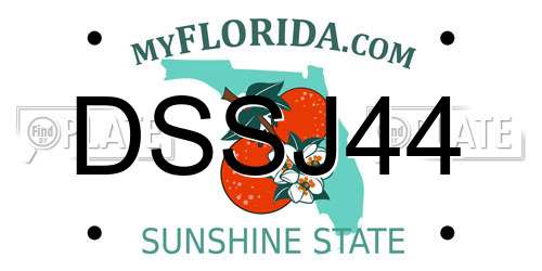DSSJ44 Florida License Plate