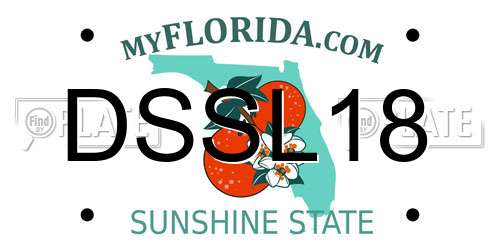 DSSL18 Florida License Plate