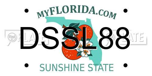 DSSL88 Florida License Plate