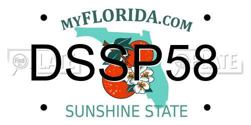 DSSP58 Florida License Plate