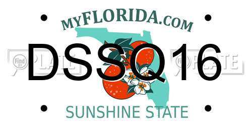 DSSQ16 Florida License Plate