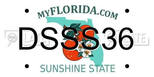 DSSS36 Florida License Plate