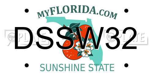 DSSW32 Florida License Plate