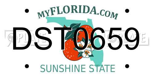 DST0659 Florida License Plate