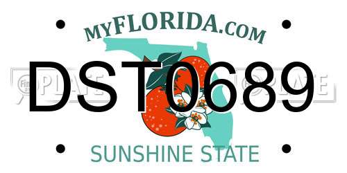 DST0689 Florida License Plate
