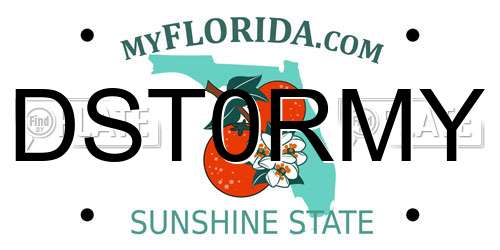 DST0RMY Florida License Plate