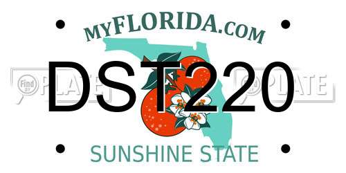 DST220 Florida License Plate
