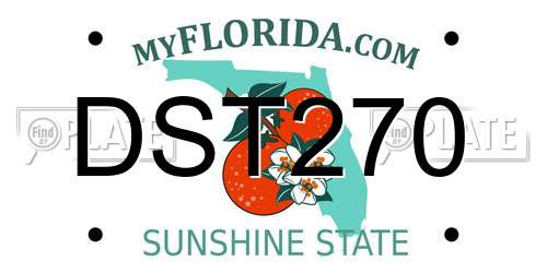 DST270 Florida License Plate