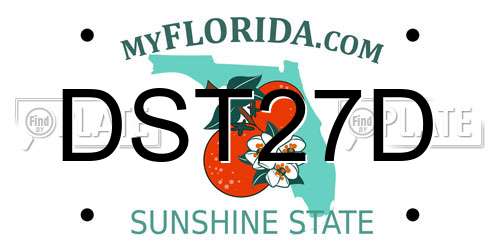 DST27D Florida License Plate