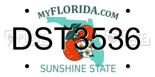 DST3536 Florida License Plate