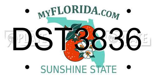 DST3836 Florida License Plate