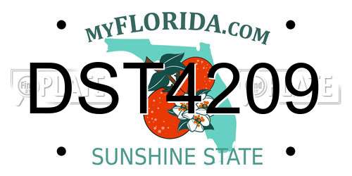 DST4209 Florida License Plate