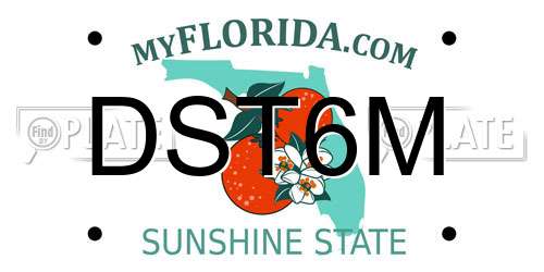 DST6M Florida License Plate