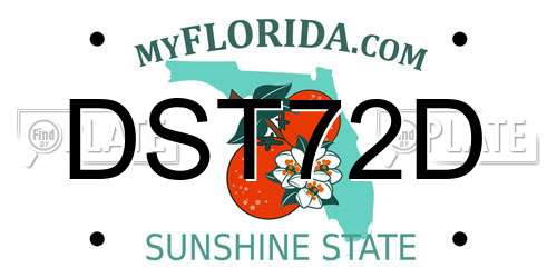 DST72D Florida License Plate