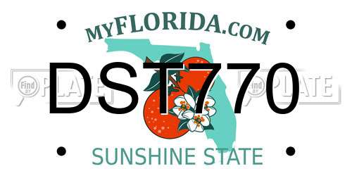 DST770 Florida License Plate
