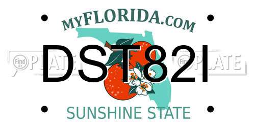 DST82I Florida License Plate
