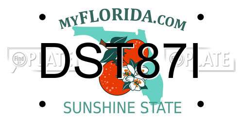 DST87I Florida License Plate