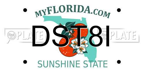DST8I Florida License Plate