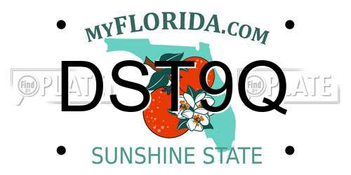 DST9Q Florida License Plate