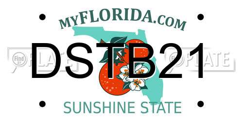 DSTB21 Florida License Plate