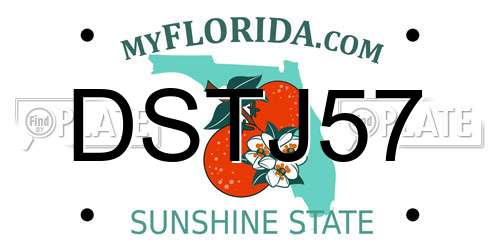 DSTJ57 Florida License Plate