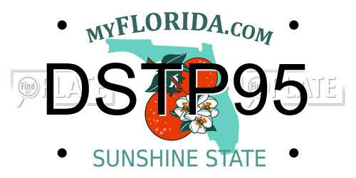 DSTP95 Florida License Plate