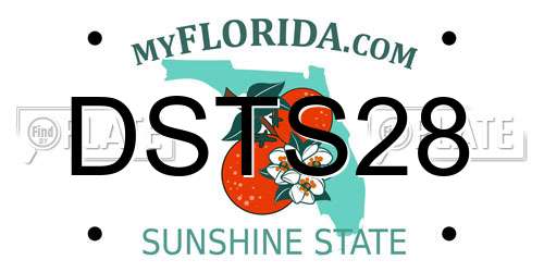 DSTS28 Florida License Plate
