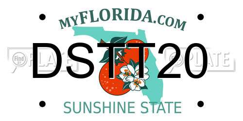 DSTT20 Florida License Plate