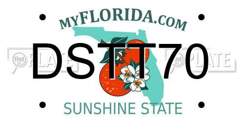 DSTT70 Florida License Plate