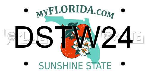 DSTW24 Florida License Plate
