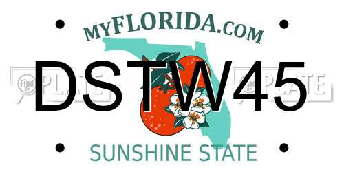 DSTW45 Florida License Plate