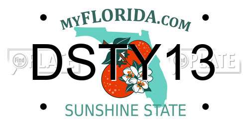 DSTY13 Florida License Plate