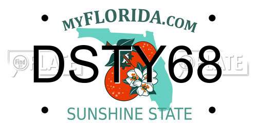 DSTY68 Florida License Plate