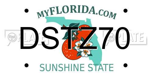 DSTZ70 Florida License Plate