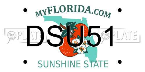 DSU51 Florida License Plate