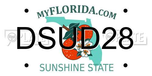 DSUD28 Florida License Plate