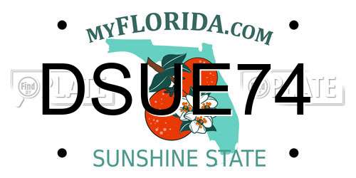 DSUE74 Florida License Plate