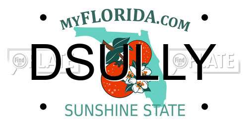 DSULLY Florida License Plate