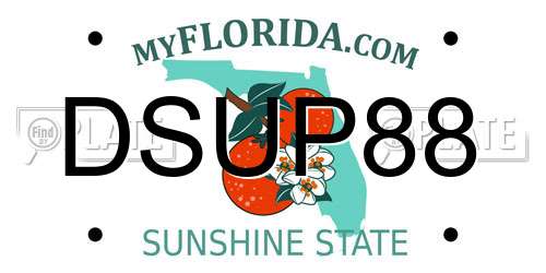 DSUP88 Florida License Plate