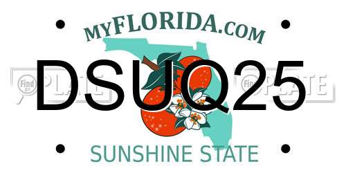 DSUQ25 Florida License Plate